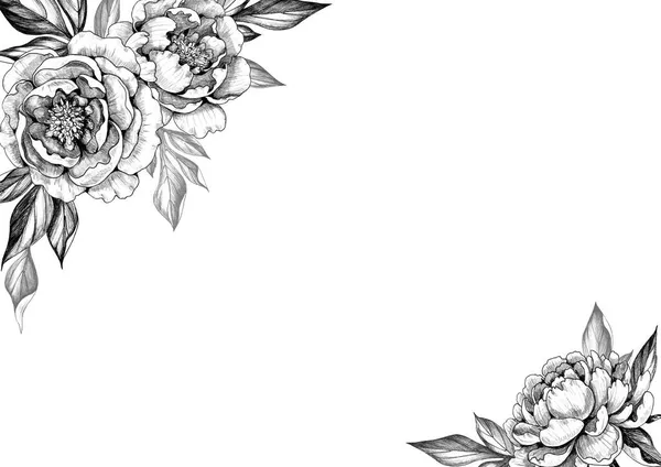 Black and white elegant background with peony flowers and leaves. Hand drawn floral border. Pencil drawing monochrome composition in vintage style. Wedding invitation, greeting card, cover design.