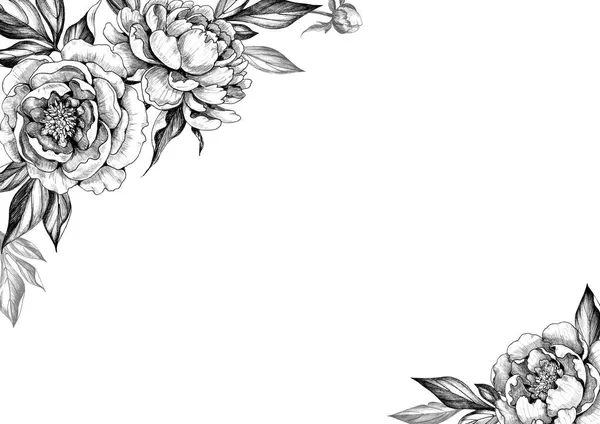 Czarno Białe Eleganckie Tło Kwiatami Piwonii Ręcznie Rysowane Kwiatowy Granicy — Zdjęcie stockowe