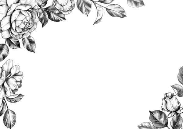 Czarno Biały Elegancki Granica Ręcznie Rysowane Kwiat Róży Pąki Liście — Zdjęcie stockowe
