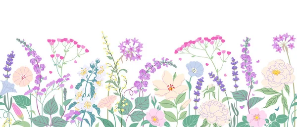 Seamless Horizontal Border Blooming Flowers White Background Multicolored Garden Flowers — Stockový vektor