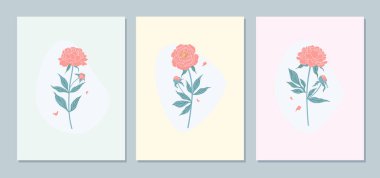 Pembe şakayık çiçekli vektör minimalist illüstrasyon. Pastel renkte botanik duvar sanatı. Çiçek tasarım kartları ayarlandı.