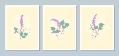 Leylak çiçekli dolikolar minimalist illüstrasyon vektörü. Botanik duvar sanatı. Çiçek tasarım kartları ayarlandı.