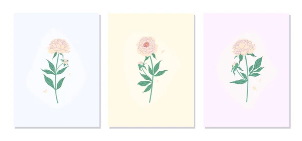 Pinkfarbenes Pfingstrosenblüten Posterset Vektor Minimalistische Illustration Botanische Wandkunst Pastellfarben Floral — Stockvektor