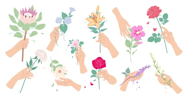 Női Kezek Megérintik Egymást Virágot Tartanak Kezükben Színes Virágkompozíció Nyári — Stock Vector