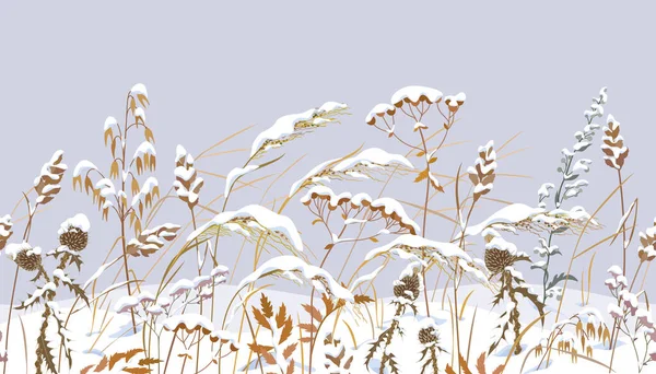 无缝隙的水平边界 冬季白雪覆盖草甸植物 野生草本 谷类在雪下灰色背景 冬季风景花纹 草干简单 叶面平整 插画画图 — 图库矢量图片#