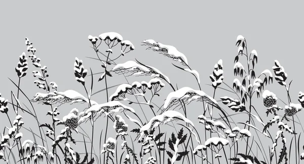 无缝隙的水平边界 覆盖着积雪的草甸植物 单色野生草本植物 谷类在雪下 冬季花纹 草型轮廓连续 白色和灰色矢量插图 — 图库矢量图片#