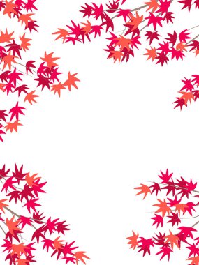 Vertical autumn frame  with red leaves on Japanese maple branches. Vector minimalistic background.