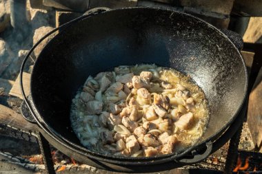Bir kazanda, ateşte yemek pişirmek. Geleneksel Asya yemekleri pilavdır. Soğan, yağ, havuç, et ve baharattan yapılan Zirvak. Pirinçle karıştırılmış. Bir kazanda, bir ateşin üzerinde hazır. Huş ağacı yakacak. - Rusya. İyi günler. Yaz.
