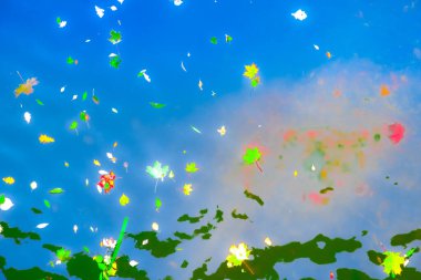 Sudaki düşen yaprakların arka planı. İzlenimcilik tarzında akçaağaç yapraklarından yapılmış duvar kâğıdı. Yumuşak boyalar, pasteller. Sonbahar. İyi günler. Güneşli. Rusya.