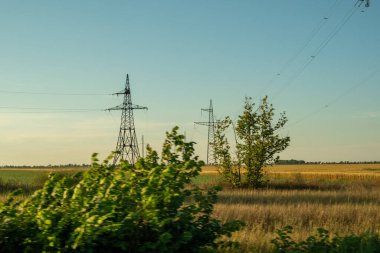 Metal elektrik direği. Sahada yüksek voltajlı kabloları olan kutuplar. Ekinleri ve elektrik direkleriyle yeşil alan. İyi günler. Yaz. Rusya.