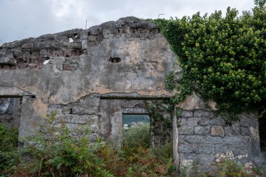 Harap olmuş bir çiftlik binası. Evin beton duvarları çalılarla kaplıdır. Terk edilmiş eski binalar. Boş pencere ve kapılar. Çatı yıkıldı. İyi günler. Georgia mı? Güneşli