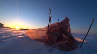 Buzda ev yapımı plastik çadır. Bir balıkçı buzda balık tutmak için rüzgar kırığı yaptı. Güçlü bir rüzgar dalgalanır, plastik sallanır. Donmuş su, deniz buzu. İyi günler. Kış. Rusya.
