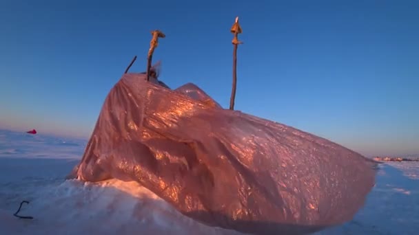 Buzda Yapımı Plastik Çadır Bir Balıkçı Buzda Balık Tutmak Için — Stok video