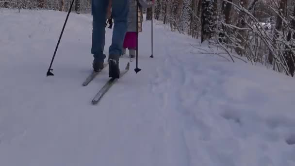 Man Child Skiing Sunday Rest Park Sunny January Day Day — Stockvideo
