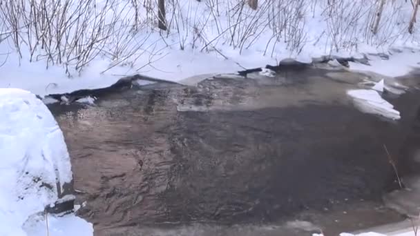 Buzlu Bir Nehirde Temiz Parkta Donmuş Buz Kar Var Kış — Stok video