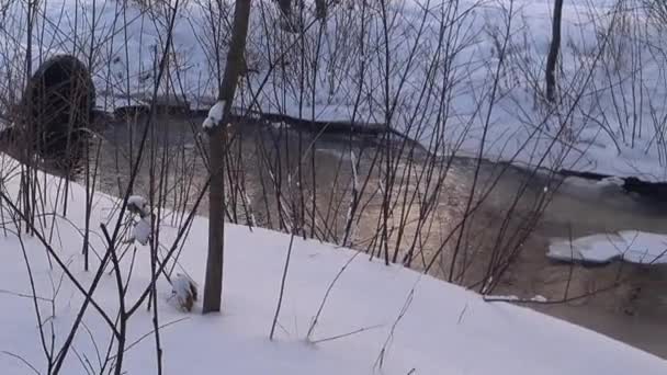 Čistá Voda Ledové Řece Zmrazená Voda Led Sníh Parku Winter — Stock video