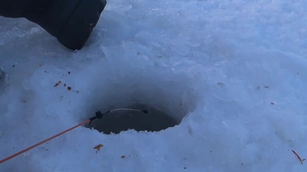 漁師の男が釣竿で魚を釣る 掘削穴 氷の中の穴 湾内の凍った水 ロシア — ストック動画