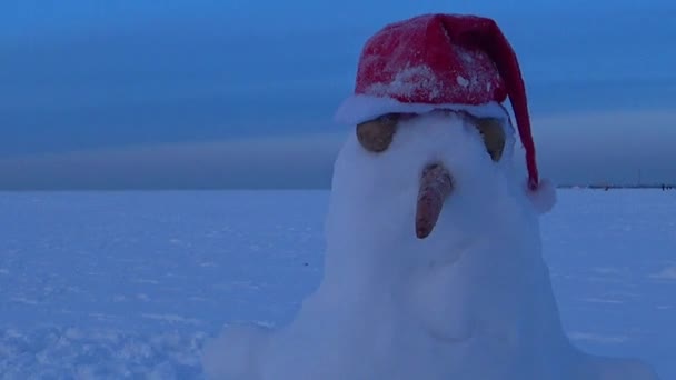 Het Beeld Snowman Staat Sneeuw Kinderen Verblindden Een Sneeuwpop Dag — Stockvideo