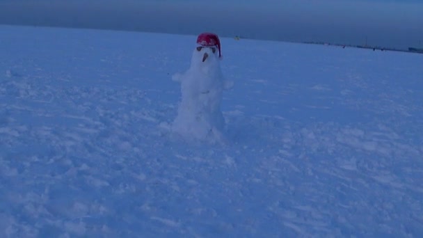 Heykel Kardan Adam Karda Duruyor Çocuklar Kardan Adamı Kör Etti — Stok video