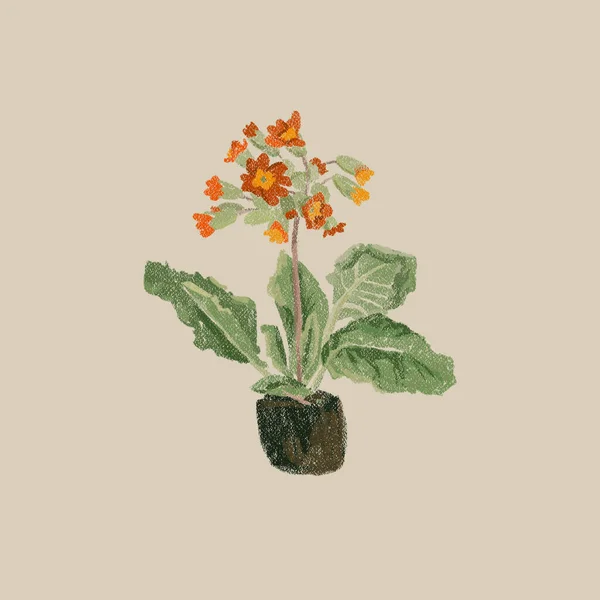 Frühlingsblumen Handzeichnung Strauß Von Gartenblumen Primeln Narzissen Helleborus Mimosen Strauß — Stockfoto