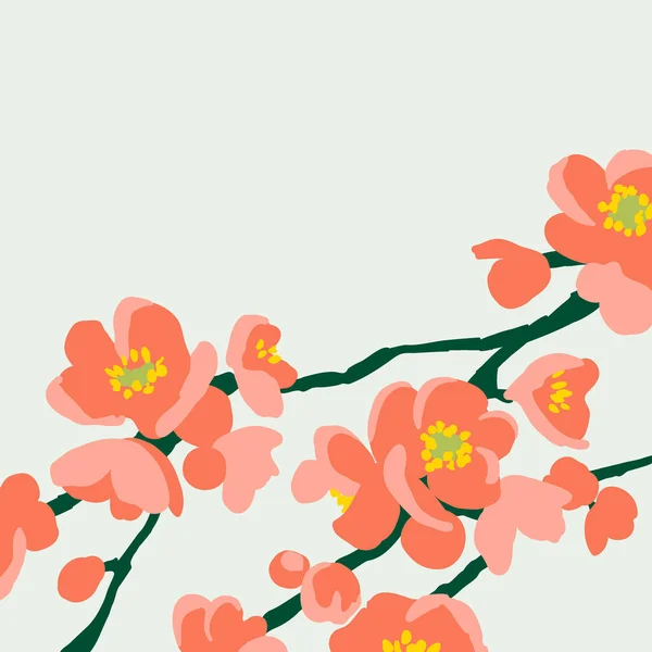 Quittenblüte Frühjahrsblühende Büsche Vektorblumen Auf Zweigen Saisonale Blumen Japanische Quitte — Stockvektor
