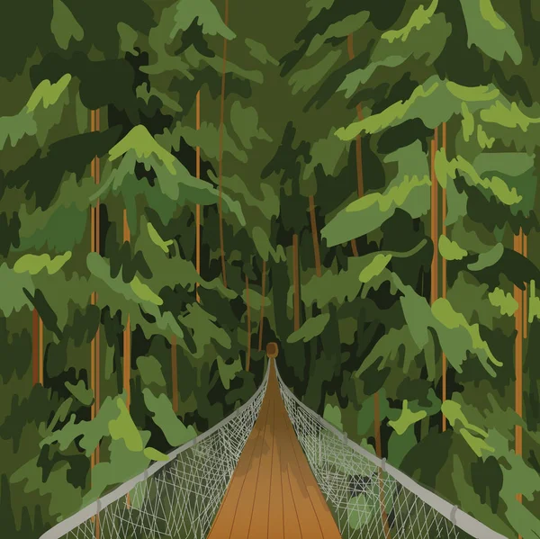 Ponte Suspensão Capilano Vancouver British Columbia Park Canada Natureza Canadá — Vetor de Stock