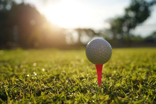 夕方のゴルフコースでティー上のゴルフボール太陽の背景と — ストック写真