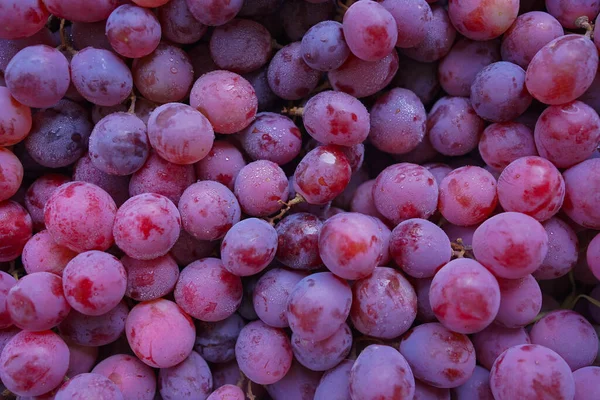 有機甘い赤ブドウの背景 ワインブドウの質感 健康的な果物のクローズアップ赤ワインブドウの背景 トップビュー — ストック写真