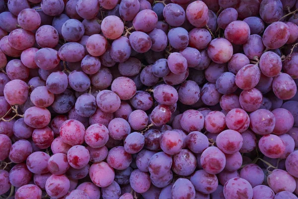 Närbild Ekologisk Söta Röda Druvor Bakgrund Vin Druvor Konsistens Friska — Stockfoto