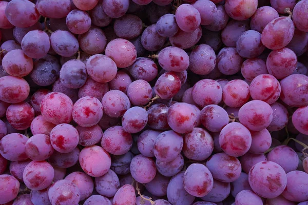 Close Fundo Uvas Vermelhas Doces Orgânicas Cruas Textura Uvas Vinho — Fotografia de Stock