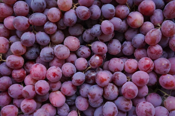Close Van Ruwe Biologische Zoete Rode Druiven Achtergrond Wijn Druiven — Stockfoto