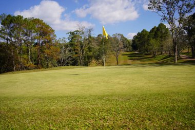 Golf sahasında yeşil çimenler ve ağaçlar. Golf sahasında yeşil çimenler ve ağaçlar. Golf sahasının manzarası ve güzel bir golf sahası. Zengin yeşil çimenlikli golf sahası. Güzel manzara..                               