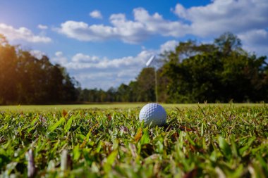 Golf topu güzel bir golf sahasında sabah güneşiyle birlikte. İlk kısa sürede golfe hazır. Dünyanın dört bir yanındaki insanlar tatillerde sağlık için oynuyorlar..                               