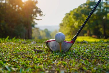 Golf sopaları ve golf topları yeşil çimlerde sabah güneşli güzel bir golf sahasında. Golf sahası arka planına vurmaya hazır yeşil çimlerde golf topu.                               