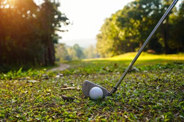 Golf sopaları ve golf topları yeşil çimlerde sabah güneşli güzel bir golf sahasında. Golf sahası arka planına vurmaya hazır yeşil çimlerde golf topu.                               