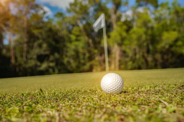 Golfbal Een Groen Gazon Een Prachtige Golfbaan Met Ochtendzon Klaar — Stockfoto