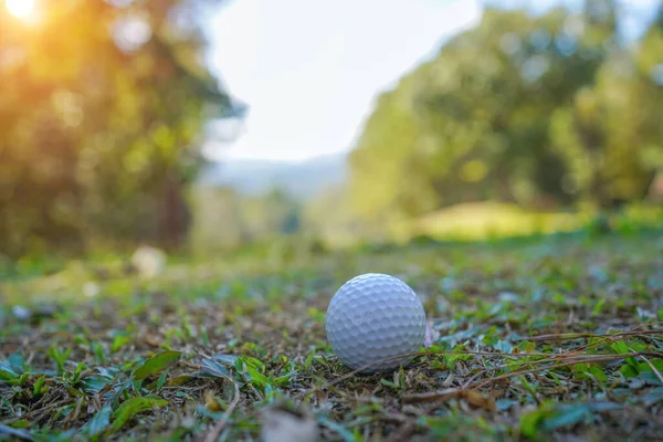 ゴルフボールは朝の日差しと美しいゴルフコースの緑の芝生の上にあります まず第一にゴルフの準備ができて 健康のための休日の間に世界中の人々が遊ぶスポーツ — ストック写真