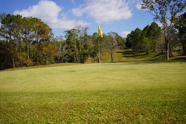 高尔夫球场上的绿草和树林 高尔夫球场上的绿草和树林 高尔夫球场绿树成荫 绿树成荫 高尔夫球场绿树成荫 风景秀丽 — 图库照片