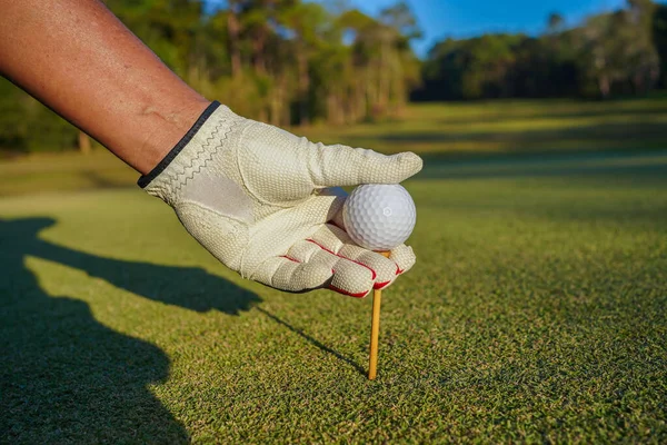 Mano Giocatore Golf Delicato Mettere Una Pallina Golf Tee Legno — Foto Stock