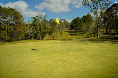 Golf sahasında yeşil çimenler ve ağaçlar. Golf sahasında yeşil çimenler ve ağaçlar. Golf sahasının manzarası ve güzel bir golf sahası. Zengin yeşil çimenlikli golf sahası. Güzel manzara..                                