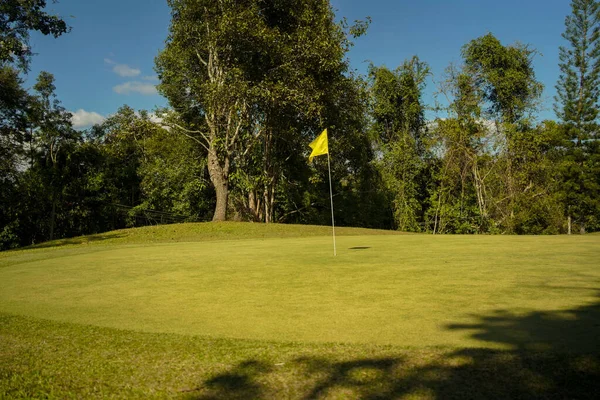 Zöld Erdő Egy Golfpályán Zöld Erdő Egy Golfpályán Kilátás Golfpálya — Stock Fotó