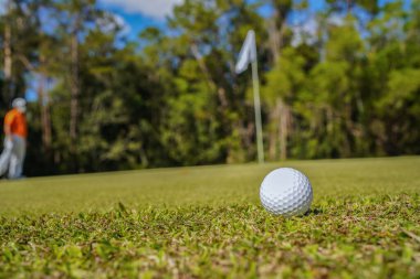 Golf topu güzel bir golf sahasında sabah güneşiyle birlikte. İlk kısa sürede golfe hazır. Dünyanın dört bir yanındaki insanlar tatillerde sağlık için oynuyorlar..                               