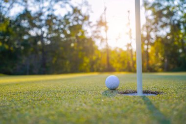 Golf topu yeşil çimlerin üzerinde sabah güneşli güzel bir golf sahasında. Golf sahası arka planına vurmaya hazır yeşil çimlerde golf topu.                                