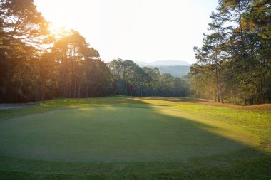 Golf sahasında yeşil çimenler ve ağaçlar. Golf sahasında yeşil çimenler ve ağaçlar. Golf sahasının manzarası ve güzel bir golf sahası. Zengin yeşil çimenlikli golf sahası. Güzel manzara..                                