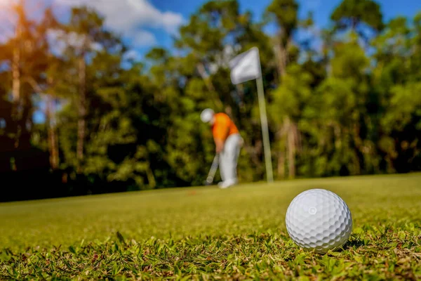 Golf topu güzel bir golf sahasında sabah güneşiyle birlikte. İlk kısa sürede golfe hazır. Dünyanın dört bir yanındaki insanlar tatillerde sağlık için oynuyorlar..                               