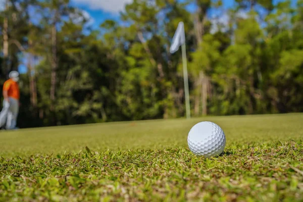 Golf topu güzel bir golf sahasında sabah güneşiyle birlikte. İlk kısa sürede golfe hazır. Dünyanın dört bir yanındaki insanlar tatillerde sağlık için oynuyorlar..                               