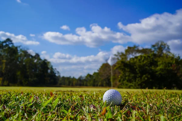Golf topu güzel bir golf sahasında sabah güneşiyle birlikte. İlk kısa sürede golfe hazır. Dünyanın dört bir yanındaki insanlar tatillerde sağlık için oynuyorlar..                               