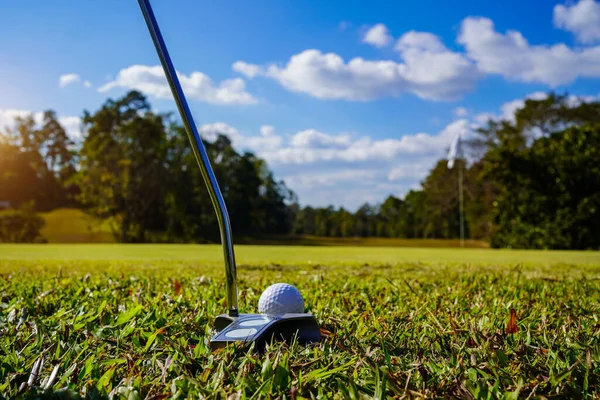 Golf sopaları ve top yeşil çimlerde sabah güneşli güzel bir golf sahasında. Golf sahası arka planına vurmaya hazır yeşil çimlerde golf topu.                             