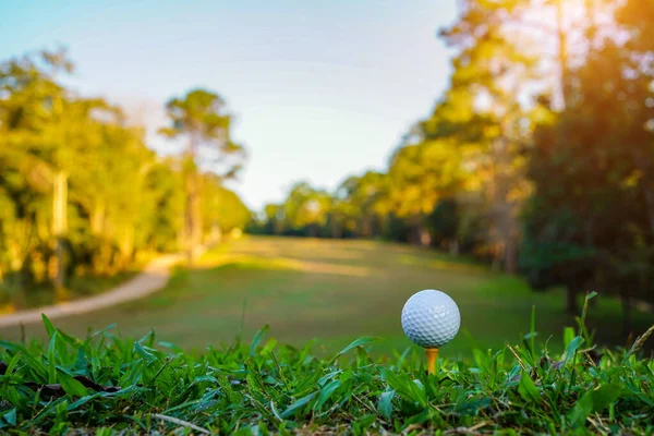 Golf Ball Tee Green Lawn Beautiful Golf Course Morning Sunshine — Stockfoto