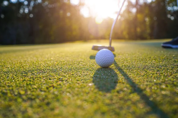 Golf clubs and ball on a green lawn in a beautiful golf course with morning sunshine. golf ball on green grass ready to hit on golf course background.